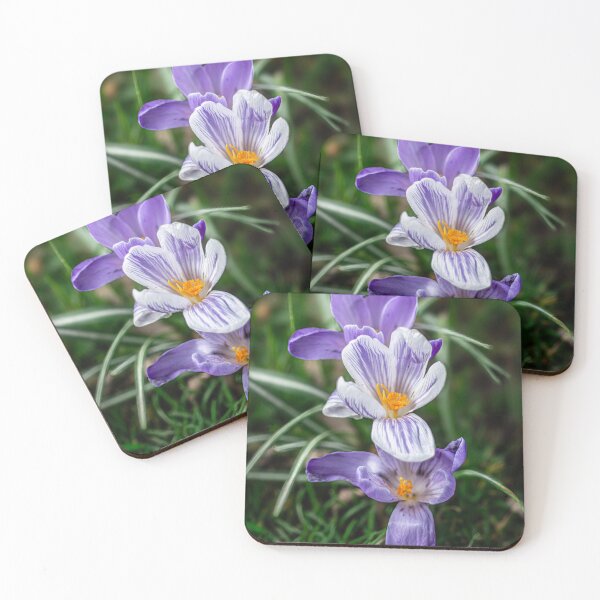 Item preview, Spring Awakening - Crocus Bloom designed and sold by EvaVisuals.