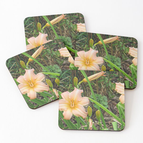 Item preview, Pink Daylilies designed and sold by Katy Fryd.