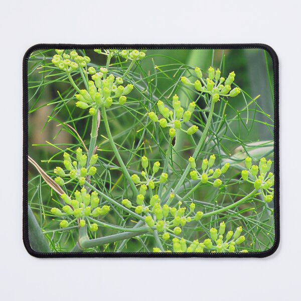 Item preview, Fennel  designed and sold by Katy Fryd.