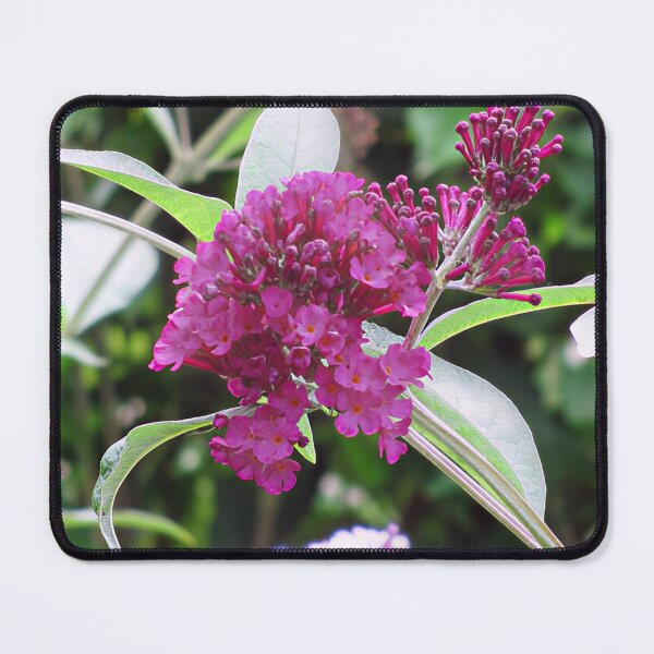 Item preview, Buddleja III designed and sold by Katy Fryd.
