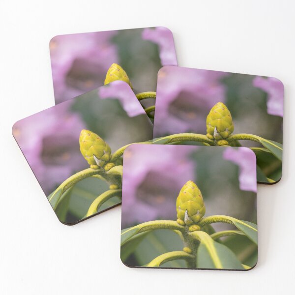 Item preview, Budding Flower designed and sold by EvaVisuals.