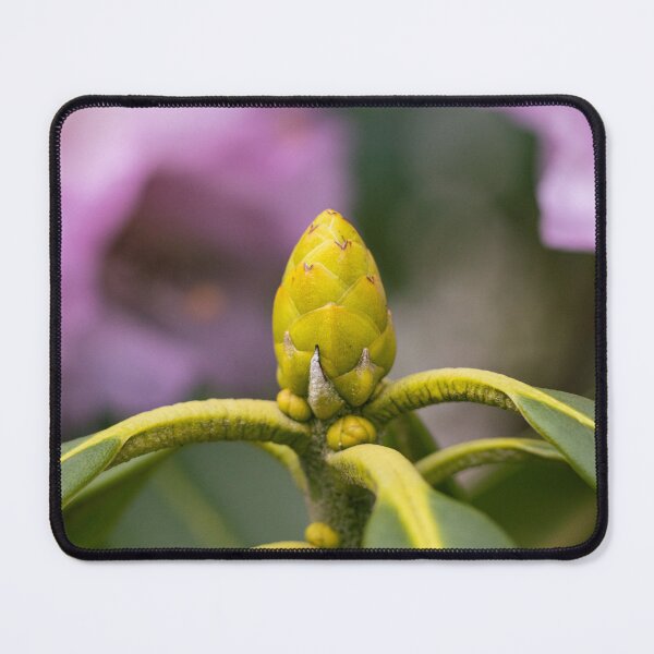 Item preview, Budding Flower designed and sold by EvaVisuals.