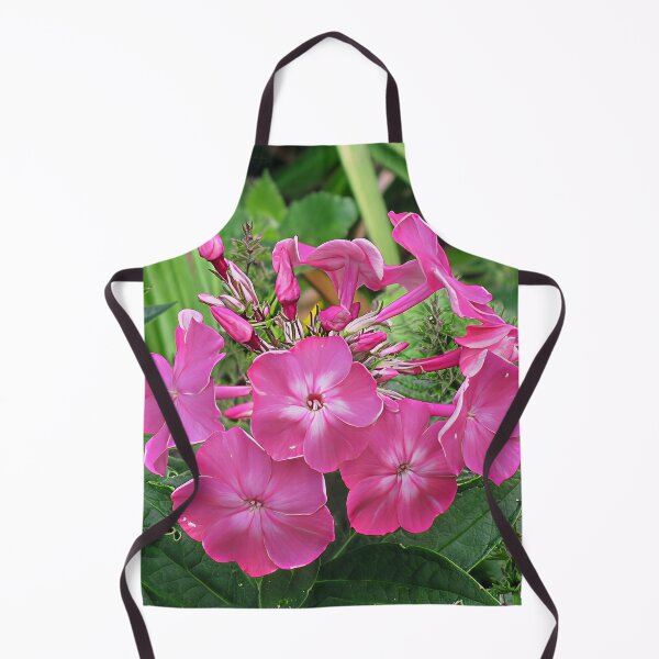 Item preview, Phlox Paniculata 'Texas Pink' II designed and sold by Katy Fryd.