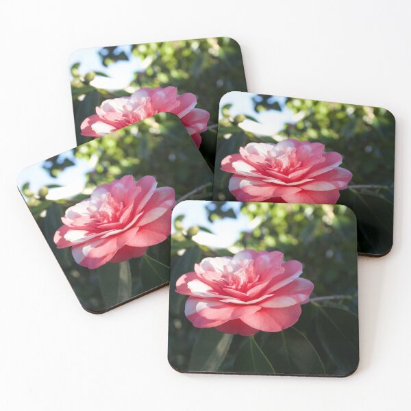 Item preview, Winter Flower designed and sold by Scott K Smith.