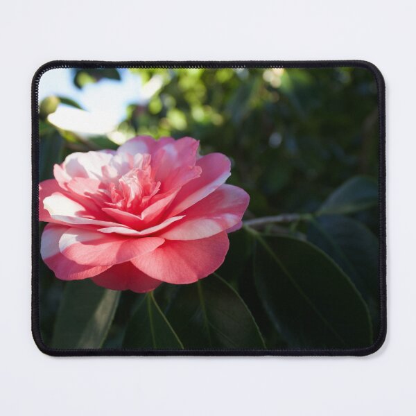 Item preview, Winter Flower designed and sold by Scott K Smith.