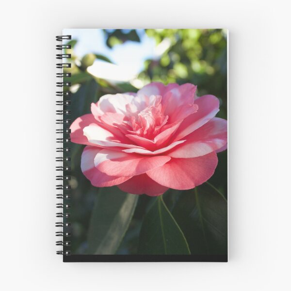 Aperçu de l'œuvre Fleur d'hiver créée et vendue par Scott K Smith.