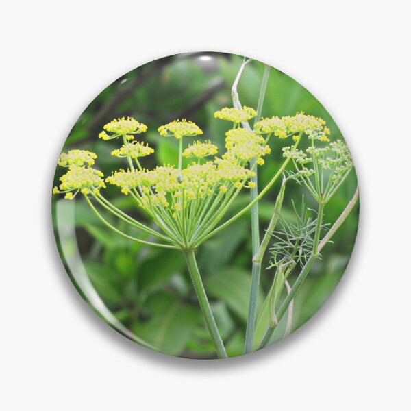 Artikelvorschau, Fenchel II entworfen und verkauft von Katy Fryd.
