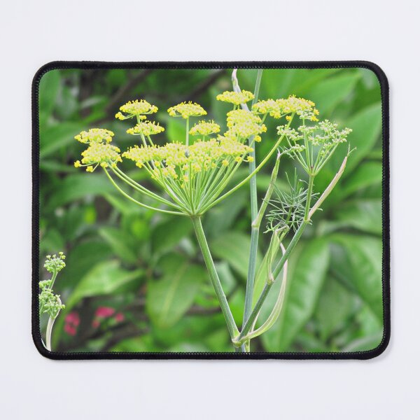 Item preview, Fennel II designed and sold by Katy Fryd.