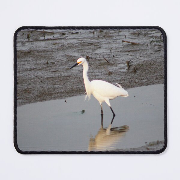 Item preview, Egret Standing in Shallow Water designed and sold by Cynthia48.