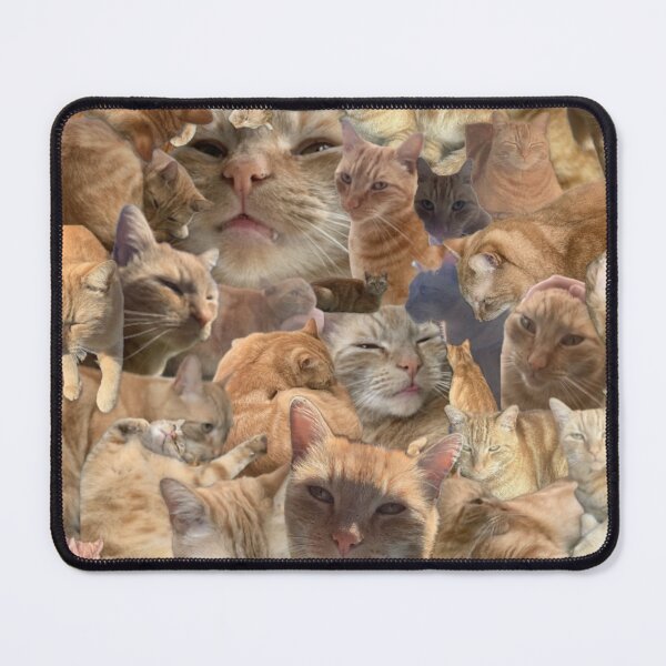 Item preview, Orange cat designed and sold by emily gaskin.
