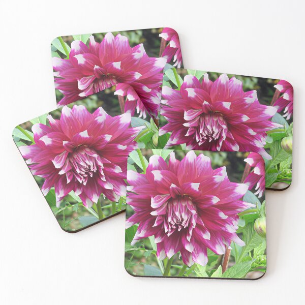 Item preview, Purple Dahlia IV designed and sold by Katy Fryd.
