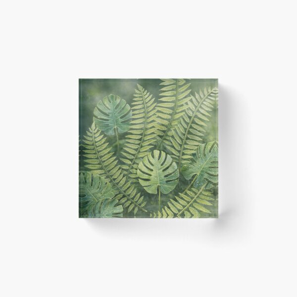Item preview, Tropical Monstera and Fern Leaves with Water Droplets – Botanical Nature Photography designed and sold by Artondra Hall.