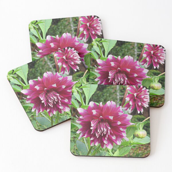 Item preview, Purple Dahlia II designed and sold by Katy Fryd.