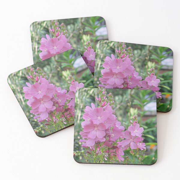 Item preview, Sidalcea 'Party Girl' designed and sold by Katy Fryd.