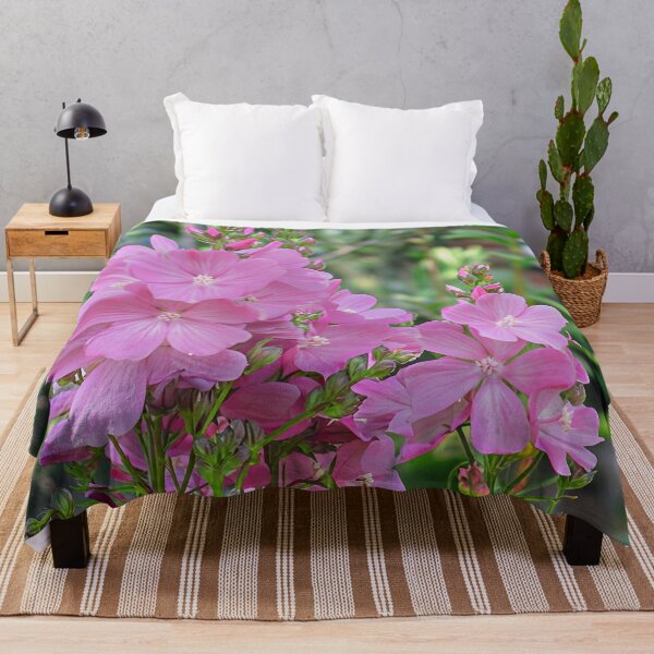 Item preview, Sidalcea 'Party Girl' designed and sold by Katy Fryd.