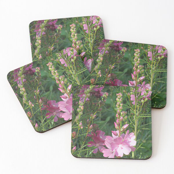 Item preview, Sidalcea 'Party Girl' IV designed and sold by Katy Fryd.
