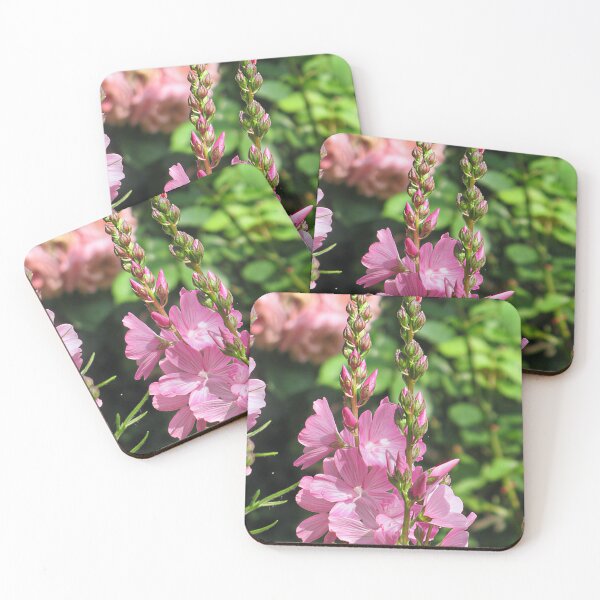 Item preview, Sidalcea 'Party Girl' VI designed and sold by Katy Fryd.