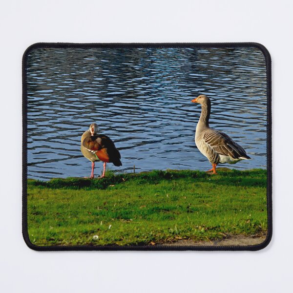 Item preview, Two Geese In Quiet Nature designed and sold by GlennP97.