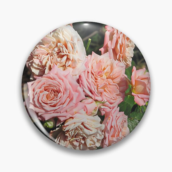 Artikelvorschau, Rosa Rosen entworfen und verkauft von Katy Fryd.