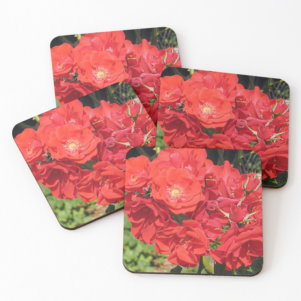 Item preview, Coasters (Set of 4) designed and sold by katyfryd.
