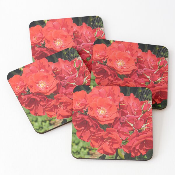 Item preview, Red Roses designed and sold by Katy Fryd.
