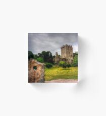 Blarney Castle and Grounds Acrylic Block