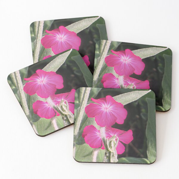 Item preview, Rose Campion designed and sold by Katy Fryd.