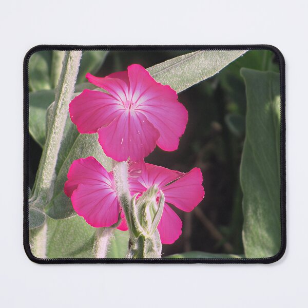 Item preview, Rose Campion designed and sold by Katy Fryd.