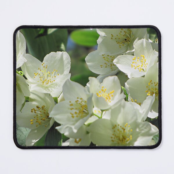 Item preview, Mock Orange designed and sold by Katy Fryd.