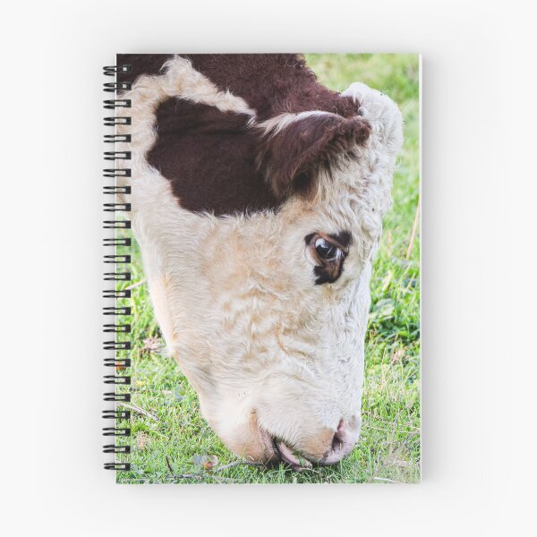 Item preview, Lazily grazing  designed and sold by KB520PHOTOGRAPH.