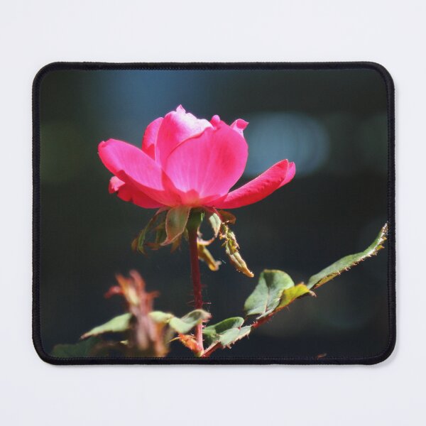 Item preview, A Rose in Katy designed and sold by Olivia Plasencia.