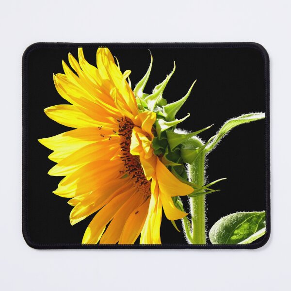 Item preview, Bright yellow sunflower closeup with ants designed and sold by jaynerushton.