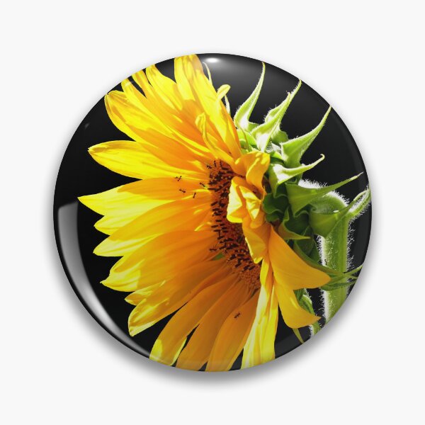 Item preview, Bright yellow sunflower closeup with ants designed and sold by jaynerushton.