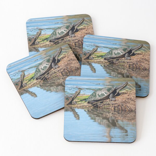 Item preview, Turtles Sunbaking designed and sold by D-GaP.
