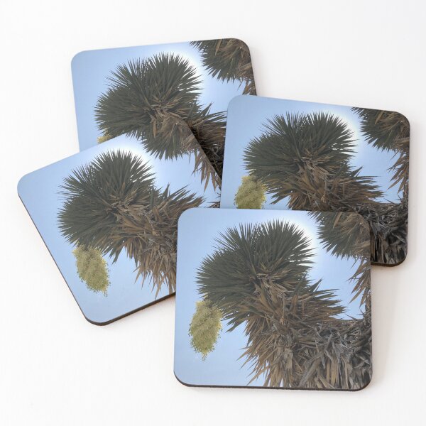 Item preview, Joshua's tree flower designed and sold by RDLT.