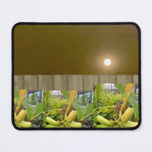 Item preview, Plants growing in the moonlight designed and sold by Bloom Sketcher$.