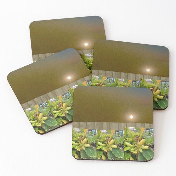 Item preview, Plants growing in the moonlight designed and sold by Bloom Sketcher$.