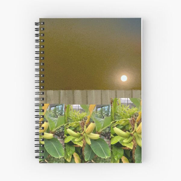 Item preview, Plantas que crecen a la luz de la luna. designed and sold by Bloom Sketcher$.