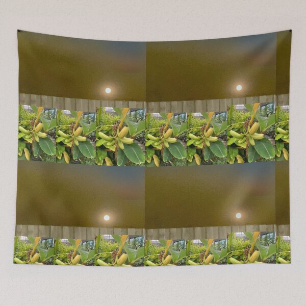 Item preview, Plants growing in the moonlight designed and sold by Bloom Sketcher$.
