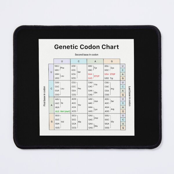 Item preview, Science Genetic Codon Biology Chart designed and sold by wswrnyhj65.