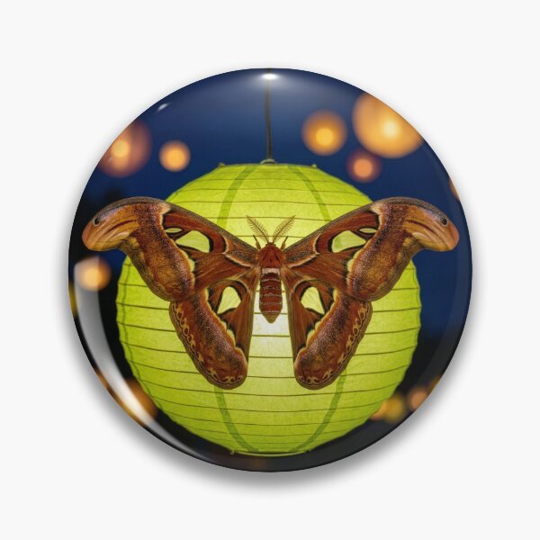 Item preview, Atlas Moth Lights on a Paper Lantern designed and sold by Tridentulus.