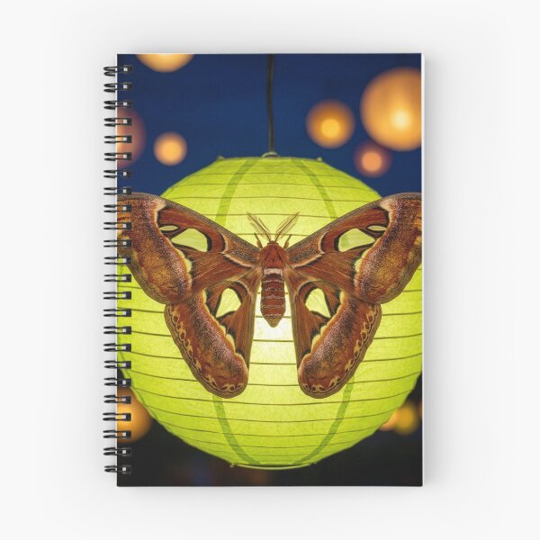 Item preview, Atlas Moth Lights on a Paper Lantern designed and sold by Tridentulus.