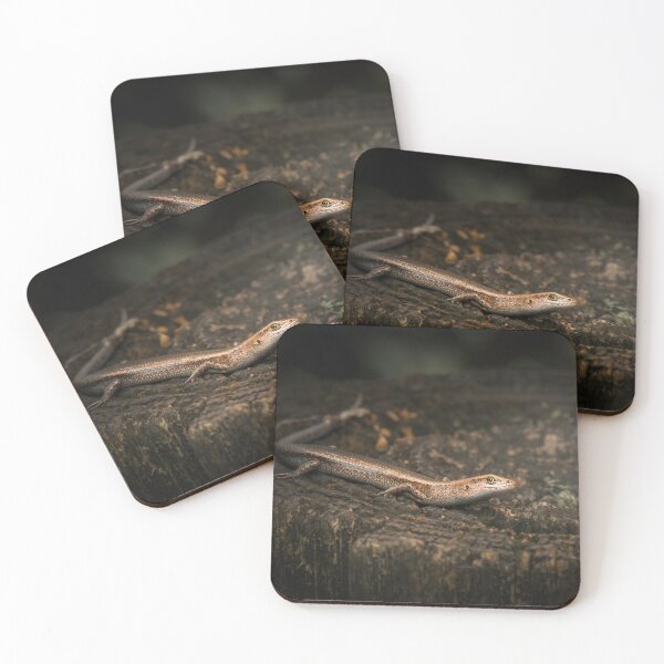 Item preview, Dark-flecked Skink designed and sold by robdwildlife.