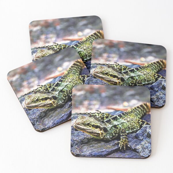 Item preview, Australian Water Dragon designed and sold by Blackadder Photography.