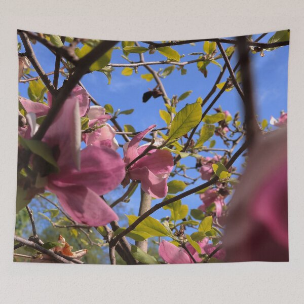 Item preview, Blooming Pink Magnolia Tree Against Blue Sky designed and sold by vikko-art.