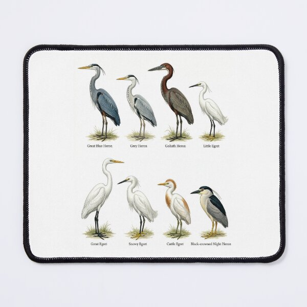 Item preview, Heron and Egret Species designed and sold by ArunDandiboina.