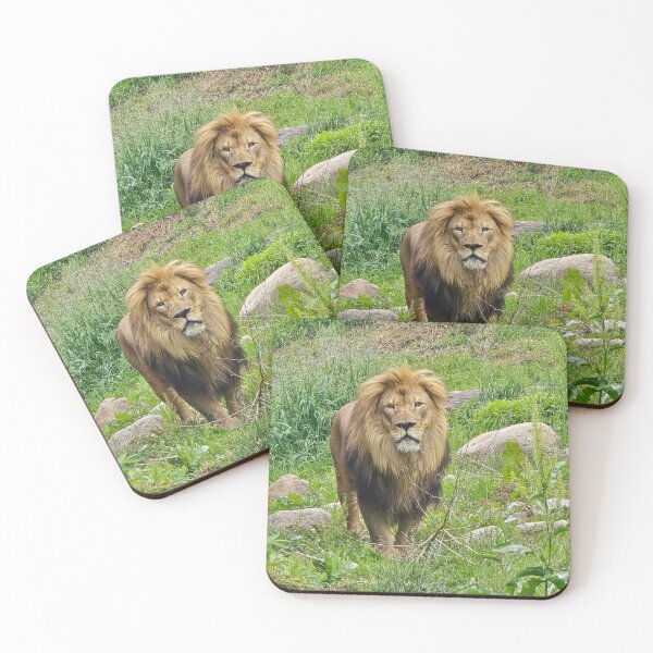 Item preview, Lion designed and sold by KB520PHOTOGRAPH.