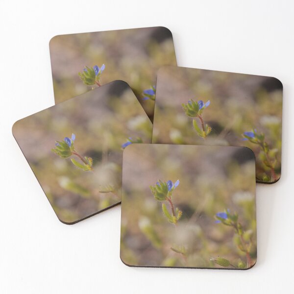 Item preview, Minimalist Blue Wildflower Macro designed and sold by vikko-art.