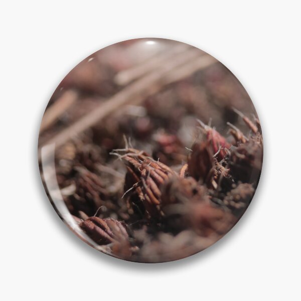 Item preview, Rustic Textured Dried Seed Pods Macro designed and sold by vikko-art.