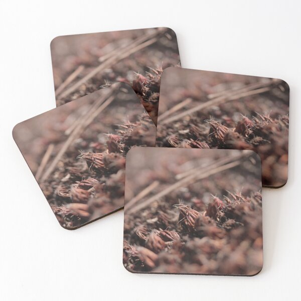 Item preview, Rustic Textured Dried Seed Pods Macro designed and sold by vikko-art.